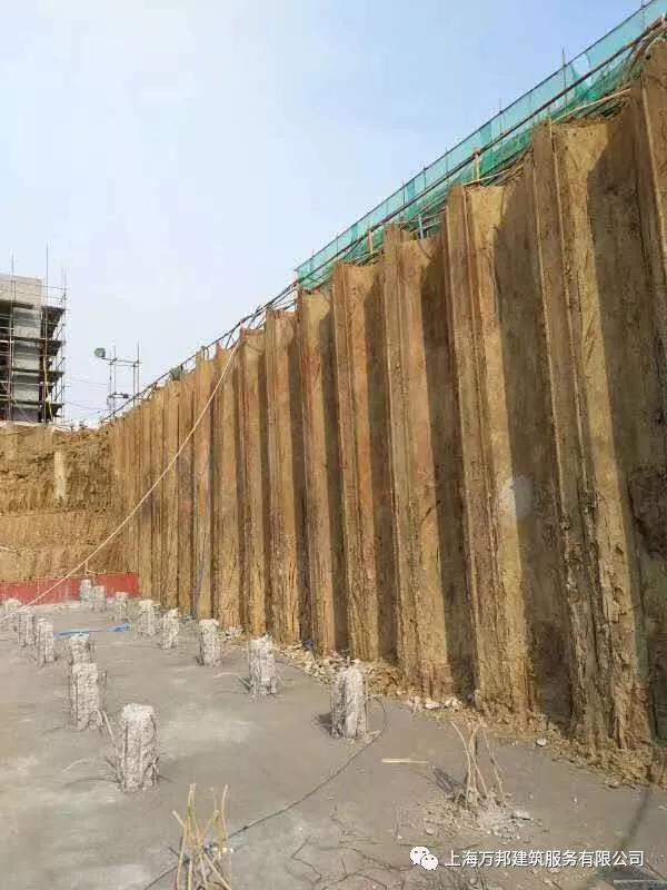 640 (1)_爱奇艺.jpg